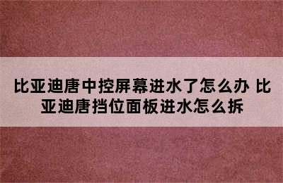 比亚迪唐中控屏幕进水了怎么办 比亚迪唐挡位面板进水怎么拆